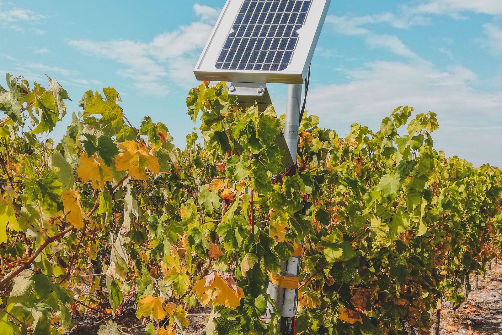 Pompage solaire pour l&rsquo;irrigation